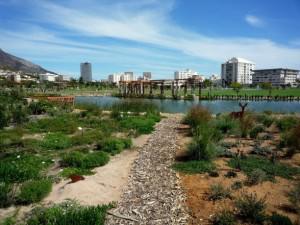 Cape Town as a Sustainable Destination